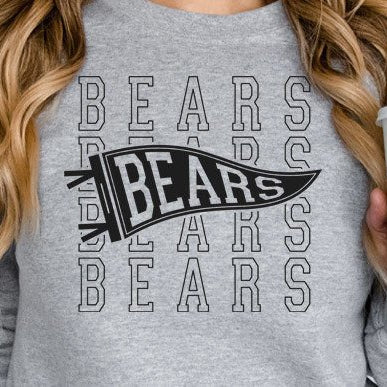 BEARS Pennant Flag
